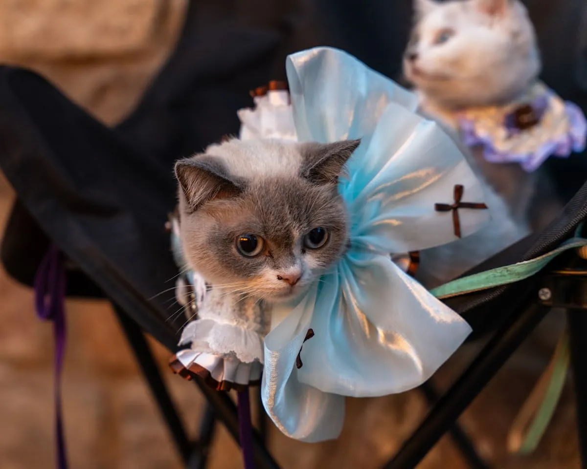 Small pet wearing a handcrafted pale blue satin accessory